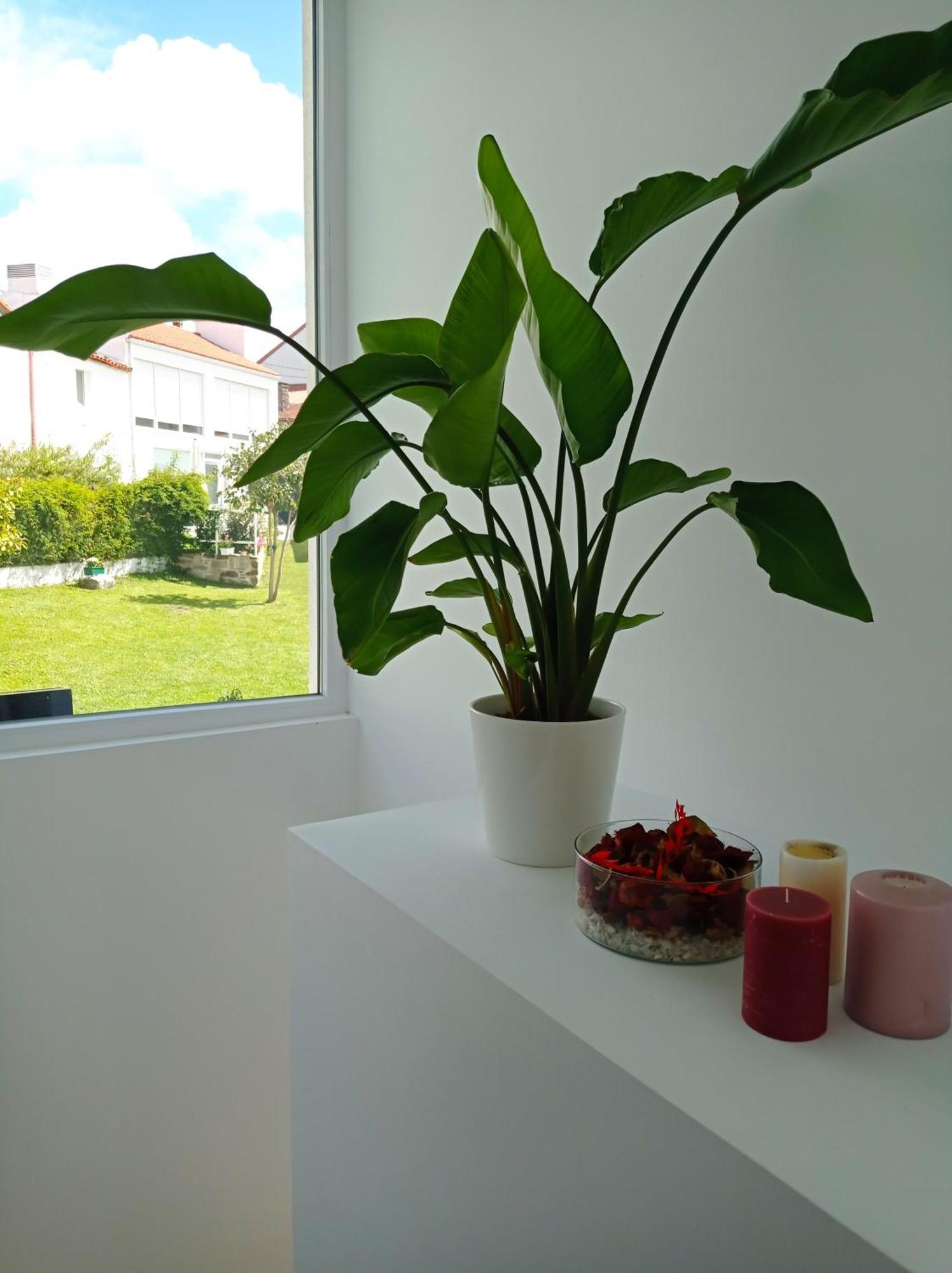 Casas Turisticas Lar Jardin - Parking Privado Santiago de Compostela Dış mekan fotoğraf