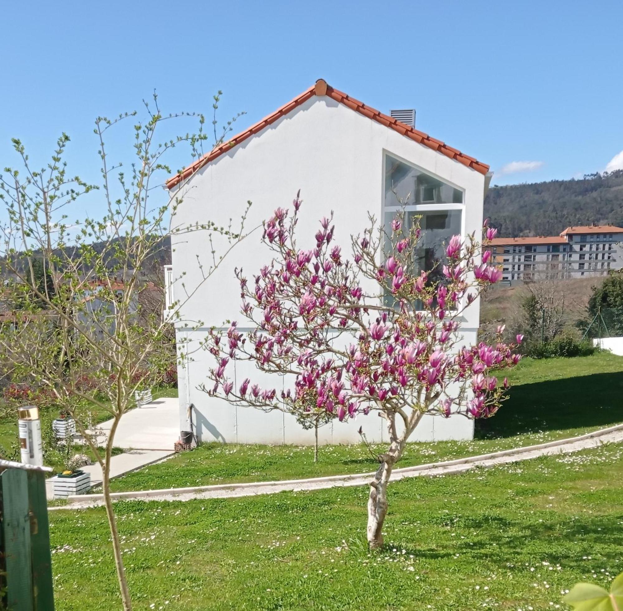 Casas Turisticas Lar Jardin - Parking Privado Santiago de Compostela Dış mekan fotoğraf