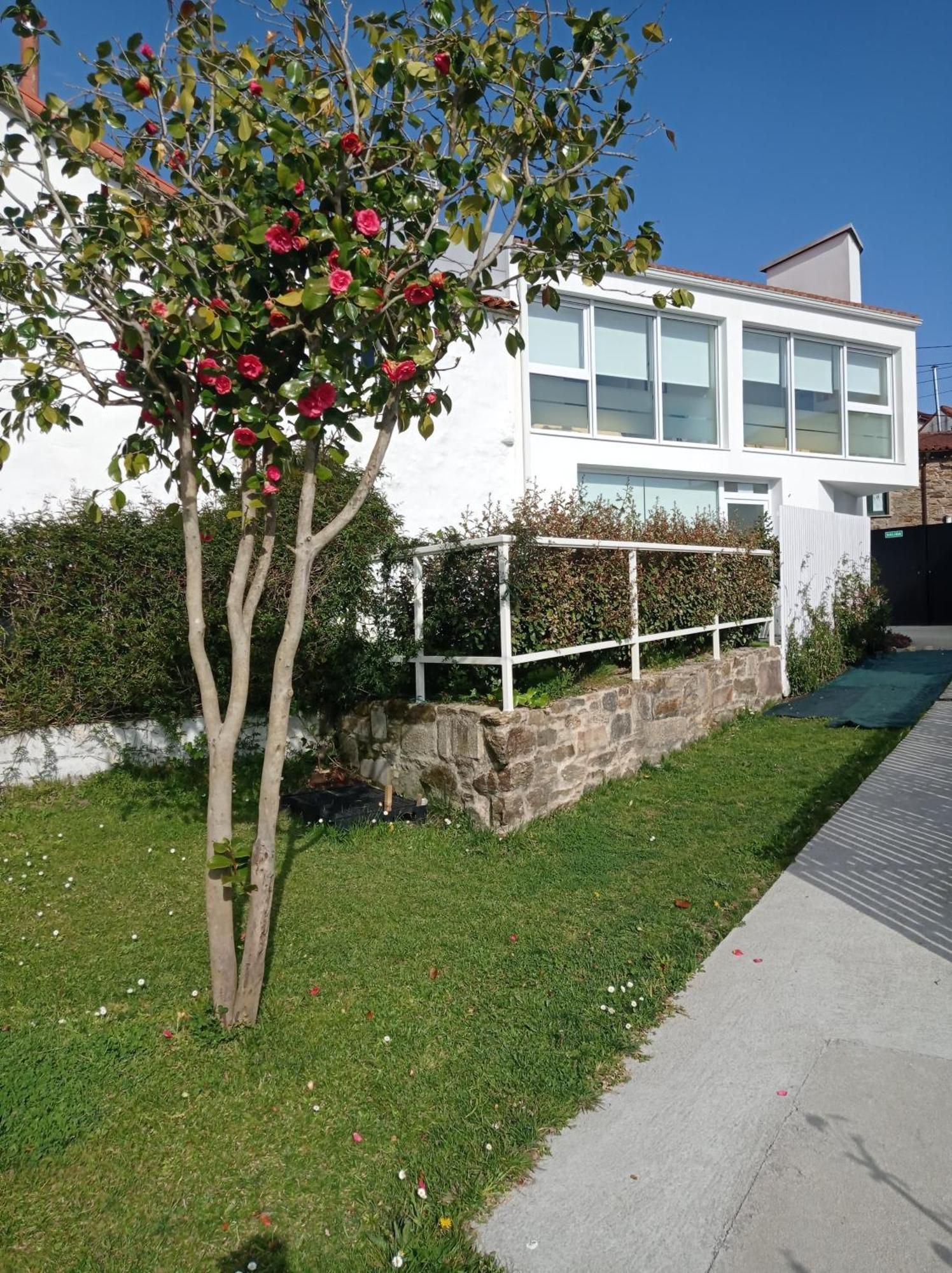 Casas Turisticas Lar Jardin - Parking Privado Santiago de Compostela Dış mekan fotoğraf